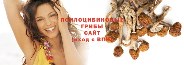 Альфа ПВП Надым