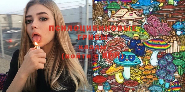 стафф Нефтегорск