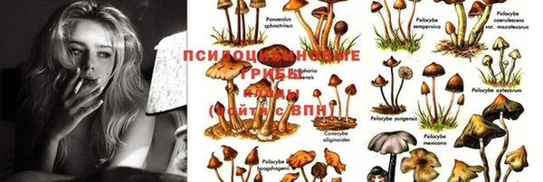 меф Нефтекумск