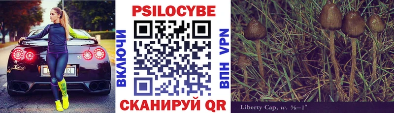 где найти наркотики  Сергач  Галлюциногенные грибы Cubensis 