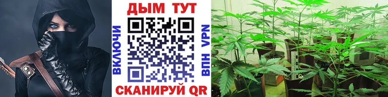 МАРИХУАНА THC 21%  Сергач 